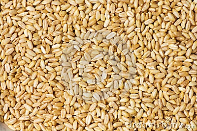 Wheat grains background pattern Stock Photo