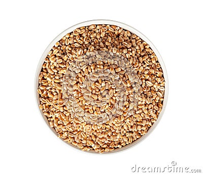 Wheat Grains, Barley Pile, Dry Cereal Seeds, Wheat Grains Heap on White Stock Photo