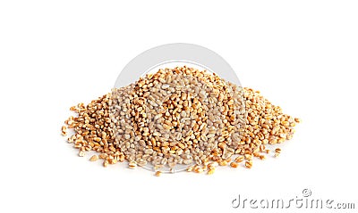 Wheat Grains, Barley Pile, Dry Cereal Seeds, Wheat Grains Heap on White Stock Photo