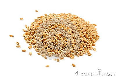 Wheat Grains Isolated on White Background Stock Photo