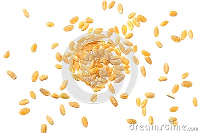 wheat grains isolated on white background. top view Stock Photo