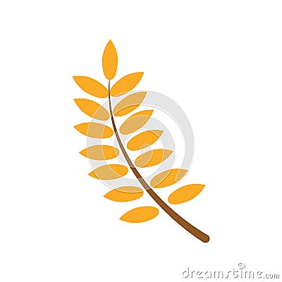 wheat grains. Vector illustration decorative design Vector Illustration