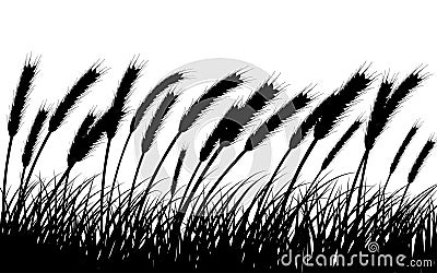 Wheat and grass Vector Illustration