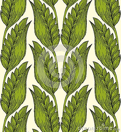 Wheat grass Vector Illustration