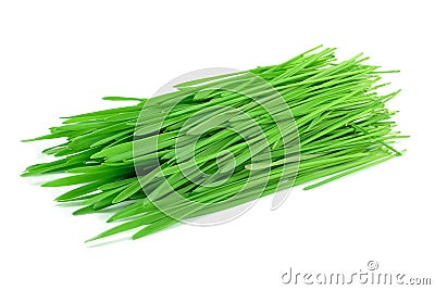 Wheat grass Stock Photo