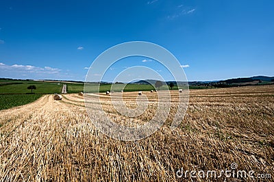 The wheat harvest is over Stock Photo
