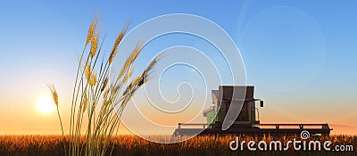 wheat harvester Stock Photo