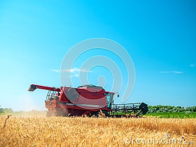 Wheat harvesting in the summer. Red harvester working in the field. Golden ripe wheat harvest agricultural machine harvester on Editorial Stock Photo