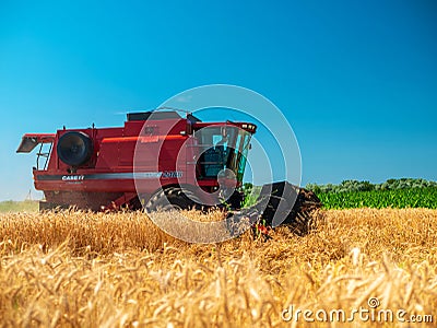 Wheat harvesting in the summer. Red harvester working in the field. Golden ripe wheat harvest agricultural machine harvester on Editorial Stock Photo