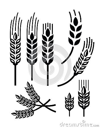 Wheat icon Vector Illustration