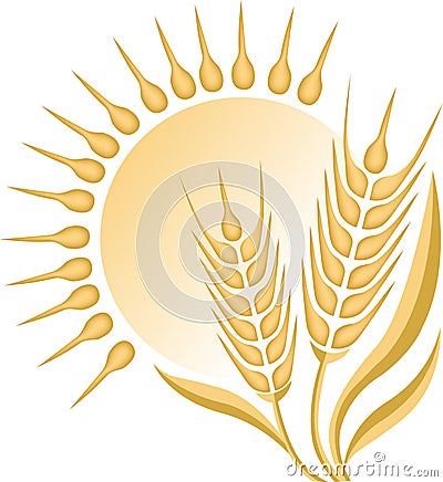 Wheat logo Vector Illustration