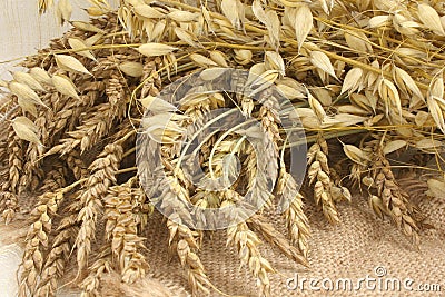 Wheat and oats Stock Photo