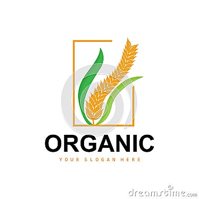 Wheat Rice Logo, Agricultural Organic Plants Vector, Luxury Design Golden Bakery Ingredients Vector Illustration