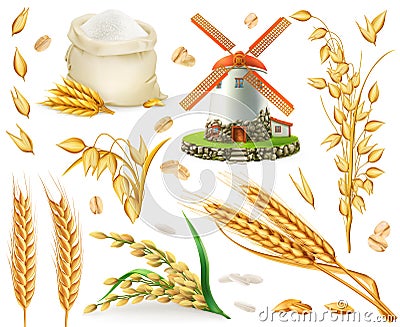 Wheat, rice, oats, barley, flour, mill and grain. 3d vector icon set Vector Illustration