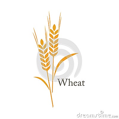 Wheat rice spike Vector Illustration