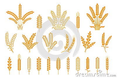 Wheat and rye ears. Oats barley rice spikes and grains, heraldic elements for beer and bread logo. Vector stalk isolated Vector Illustration