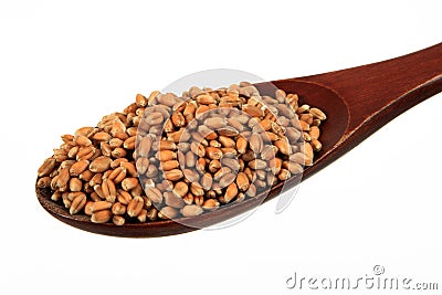 Wheat on spoon Stock Photo