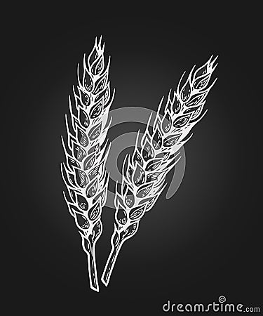 Wheat sretch black Cartoon Illustration