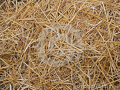 Wheat straw pile background Stock Photo