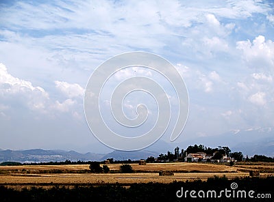 Wheat stubble and sky with clouds Stock Photo