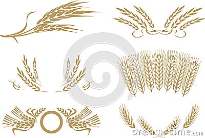 Wheat vector Vector Illustration