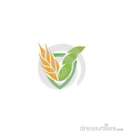 Wheat vector grain icon Isolated abstract orange color wheat ear hearldic logo. Nature element logotype. Agricultural Vector Illustration