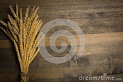 Wheat Stock Photo