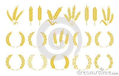Wheat wreaths. Rice or wheat ears, barley spikes, rye grains and crops. Organic cereal plants ear silhouette, wreath Vector Illustration