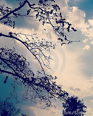 Wheather, Airplane, Letern. Stock Photo