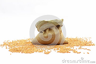 Wheats Stock Photo