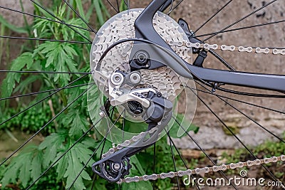 The wheel of the bike. Details of bicycle Stock Photo