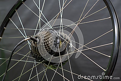 The wheel of a mountain electric bike in the workshop is a close-up on a black background. Repair of electric bicycles. Ecological Stock Photo