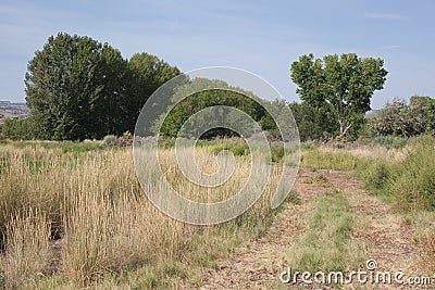 Wheel Tracks in a Field Stock Photo