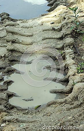 Wheel tracks in the mud, detail footprints car. Stock Photo