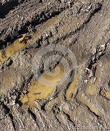 Wheel tracks on the soil Stock Photo