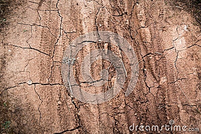 Wheel trails on mud soil. Sand wheels print in dust of dirt track of race track. Texture path of wheel tire Stock Photo