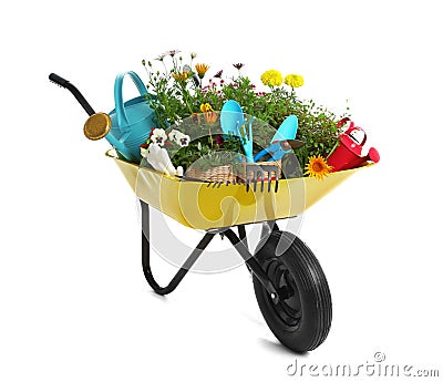 Wheelbarrow with flowers and gardening tools isolated on Stock Photo
