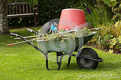 Wheelbarrow with rakes Stock Photo