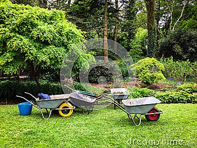 Wheelbarrows in garden ready for use Stock Photo