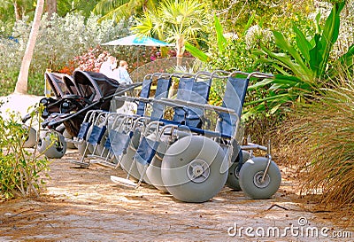 Wheelchairs and Baby Buggies with Beach Tires Editorial Stock Photo
