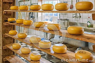 Wheels of hard cheese on the shelfs. Stock Photo