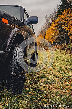 Wheels of an SUV on wet, fading grass at the edge of a forest in the Russian outback on a cloudy autumn day Stock Photo