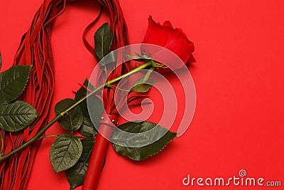 Whip and a rose Stock Photo