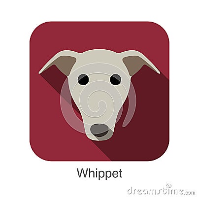 Whippet dog face flat icon, dog series Vector Illustration