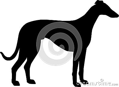 Whippet silhouette black Vector Illustration