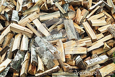 Whips of wood. Large amount of plywood Stock Photo