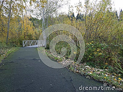 Whire Bridge on Autumn Day Stock Photo