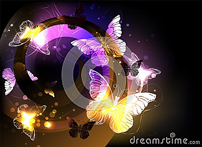 Whirlwind with night butterflies on black background Vector Illustration