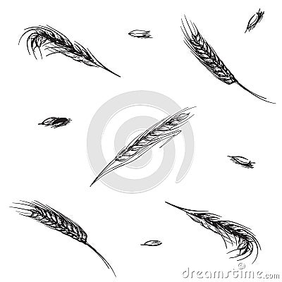 Whiskey making process from grain to bottle. Barley ears and grains. Seamless pattern. Vector Illustration