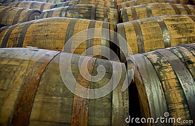 Whisky barrels Stock Photo